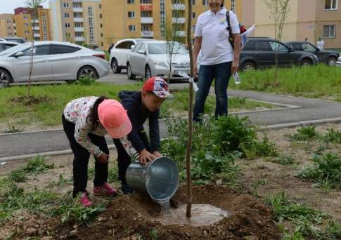 Посади дерево - приумножь добро