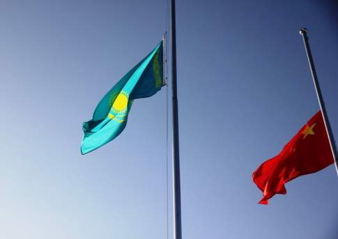 Охота на лис: берегись, террорист!