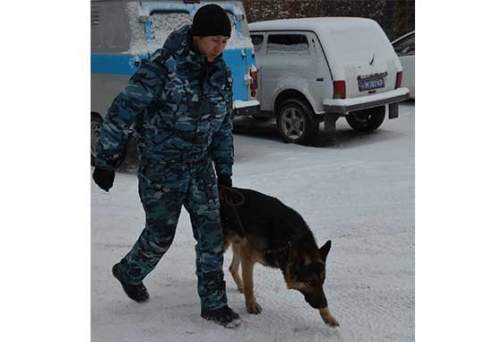 Пришёл, увидел, наследил