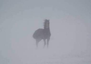 Хорошо, что сам жив