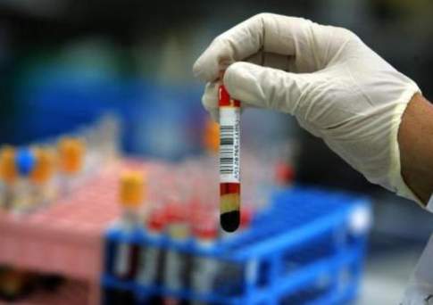 Голова на месте!