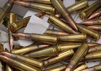 Незваный гость