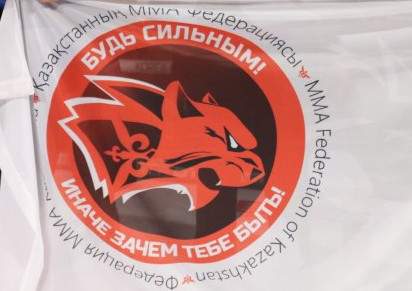 Бои без правил