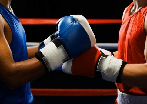 Звёзды континента