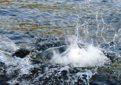 Их забрала вода