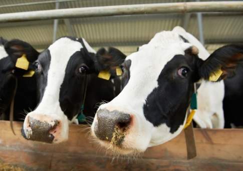 Чтоб отходы принесли доходы