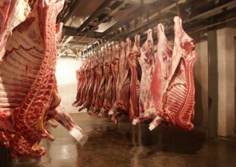 Мяса давай!