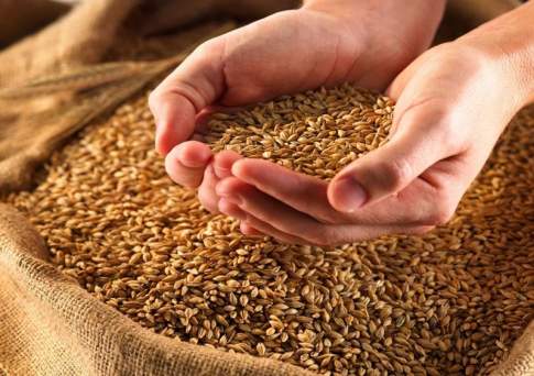 Путь открыт