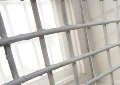 Такса больше, чем свобода