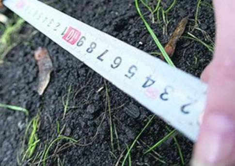 Кто больше?