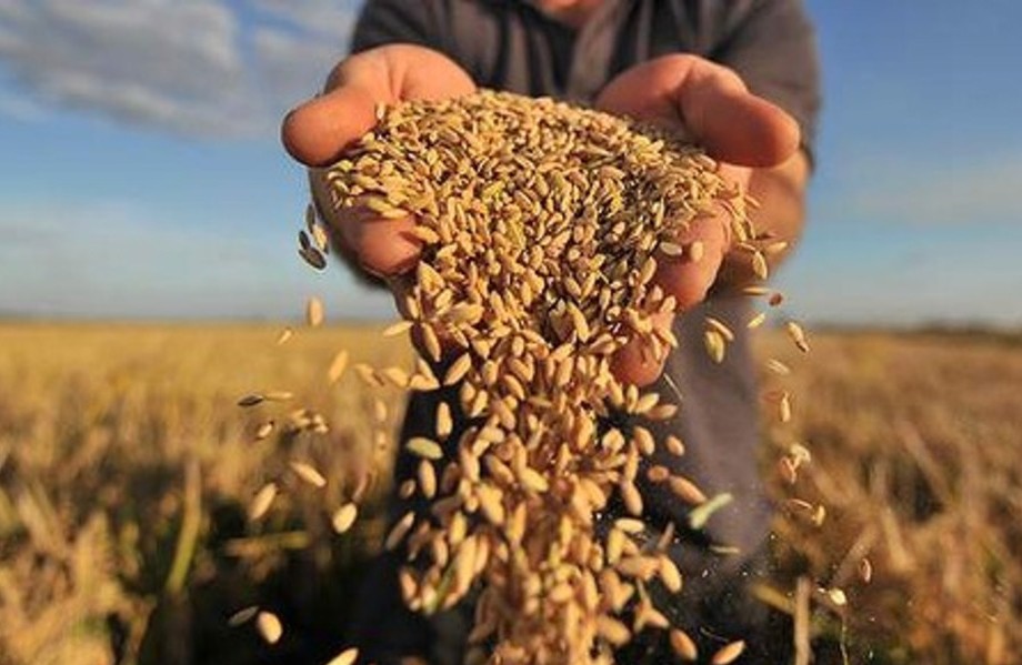 Фото: big-board.com.ua